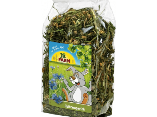 JR FARM Spitzwegerich til gnavere, naturligt tilskud af tørrede urter i praktisk pose, ideelt til at forbedre dyrenes kost og trivsel.