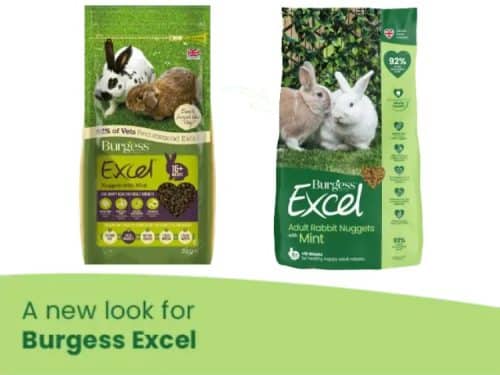 Burgess Excel Adult Rabbit med mint -gammel til nyt