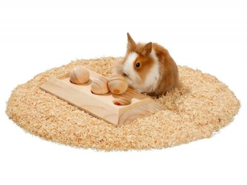 Rody brain train board 3 bolde