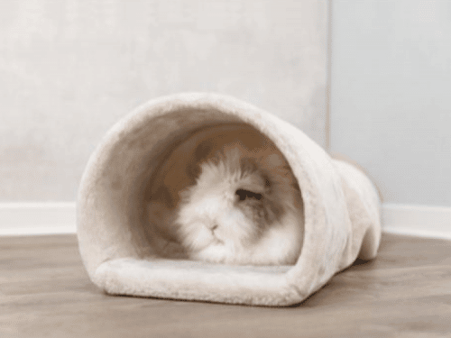 hyggetunnel-i-plys-til-kaniner