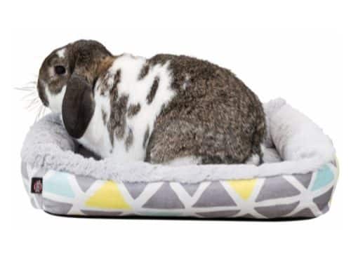trixie-seng-til-kanin