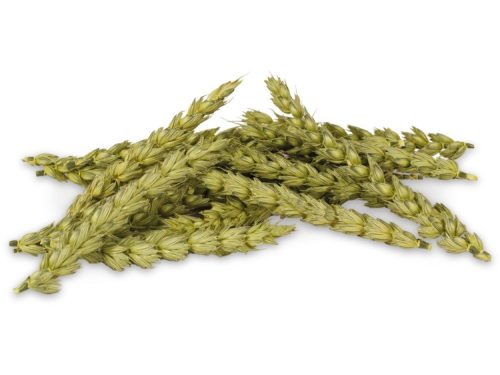 JR Farm Kornaks 30g åben