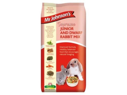 Mr. Johnson's Junior & Dwarf rabbit