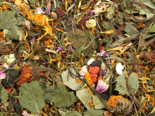 JR Farm Markurter åben