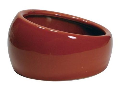 Living world keramikskål ergonomisk terracotta forfra | gnavernes univers