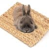 Rosewood Chill 'N Chew mat