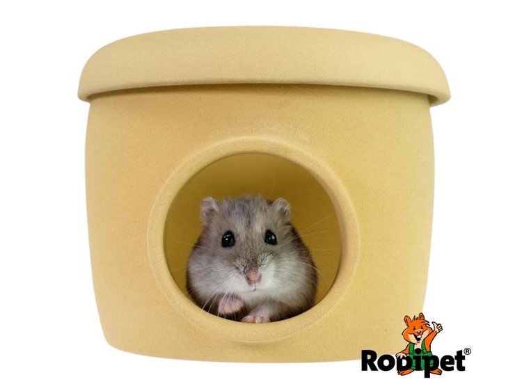 25487 - rodipet® easyclean gobi keramik hus | gnavernes univers Hyggelig hule til hamstere fra rodipet, perfekt til at skabe trygge omgivelser for dit kæledyr. Designet i blødt materiale med en indgang, ideal til leg og hvile. | gnavernes univers