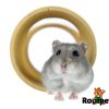 Gnaver i en legetunnel fra rodipet, perfekte til hamstere og små kæledyr. Tunnelen giver stimulering og underholdning til dit kæledyr. | gnavernes univers