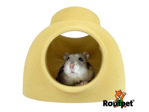 Lille hamster i en Robipet hule, ideel til gnavere som giver tryghed og komfort.