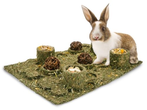 En sød kanin står på en naturlig græsplæne med flere foderkugler og snacks til gnavere. Ideel til små kæledyr som kaniner og marsvin, der kræver et stimulerende og sundt miljø. Perfekt til at sikre leg og velvære. | gnavernes univers