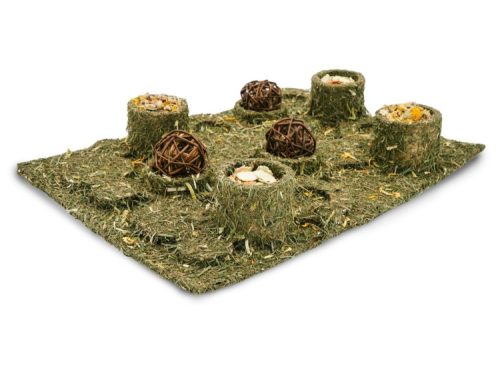 Foderbrik med græs og snacks til gnavere, ideel til stimulering og aktivering af mindre kæledyr. Perfekt til hamstere, marsvin og kaniner. | gnavernes univers