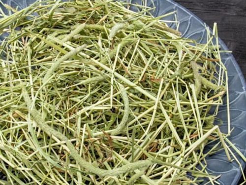 Tørret hø til gnavere, ideelt som fodertilskud og til at skabe et naturligt miljø for mindre kæledyr. Perfect til hamster, mus og andre smådyr.