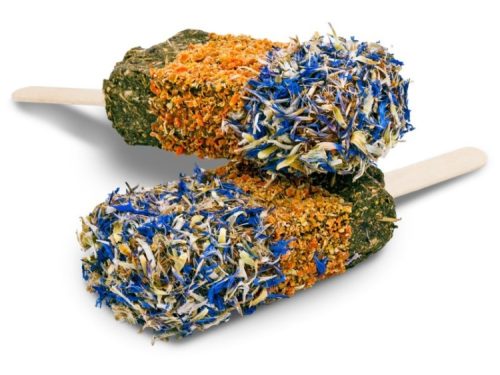 Gnavere snack pops med naturlige ingredienser og farverige blomster, ideelle til hamstere og andre små kæledyr. Perfekt som en sund godbid til at stimulere gnaverens sanser. | gnavernes univers