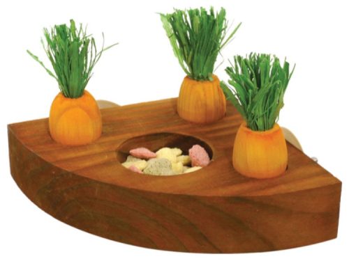 Foderbræt til gnavere med tre gulerodsformede beholdere og farverige snacks. Ideelt til små kæledyr som hamstere og marsvin. Fremmer aktiv leg og sund fodring. | gnavernes univers