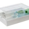 Gnaverbur med tilbehør til mindre kæledyr, inklusiv hus og løbehjul, ideel til hamstere og mus. Transparent låg for nem adgang og ventilation. | gnavernes univers