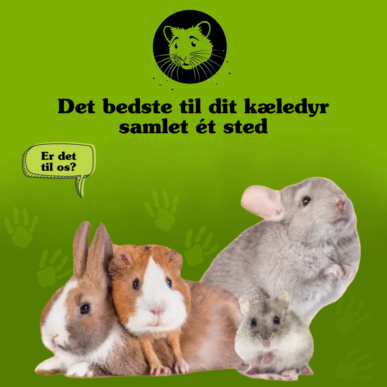 Gnavernes univers tilbyder et udvalg af kæledyr, herunder kaniner, marsvin og hamstere, perfekt til mindre kæledyrsejere. | gnavernes univers